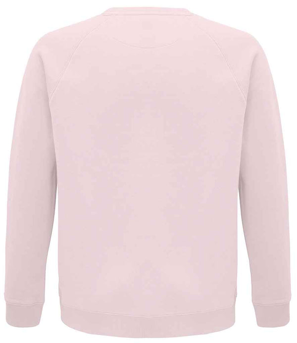 03567 Pale Pink Back