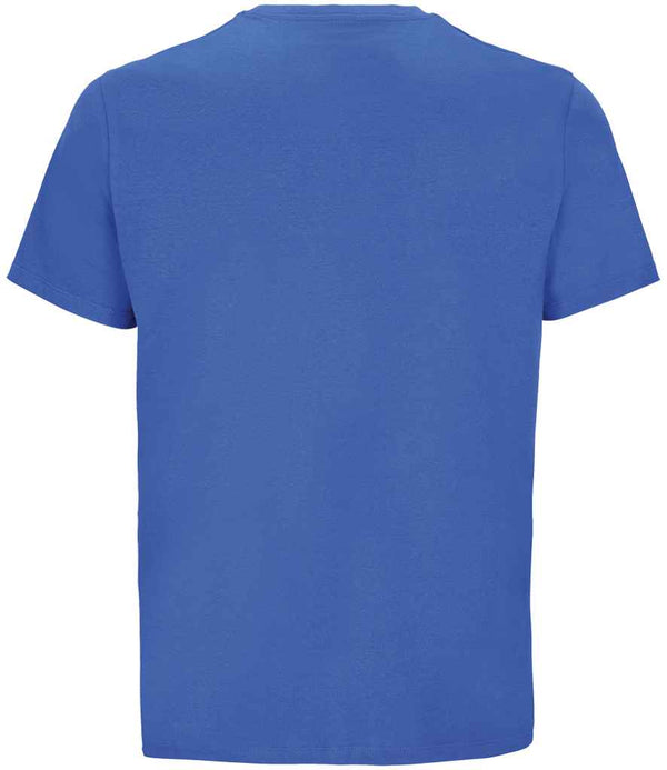 03981 Royal Blue Back