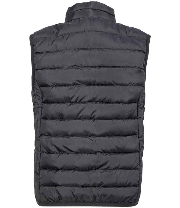 04446 Black Back