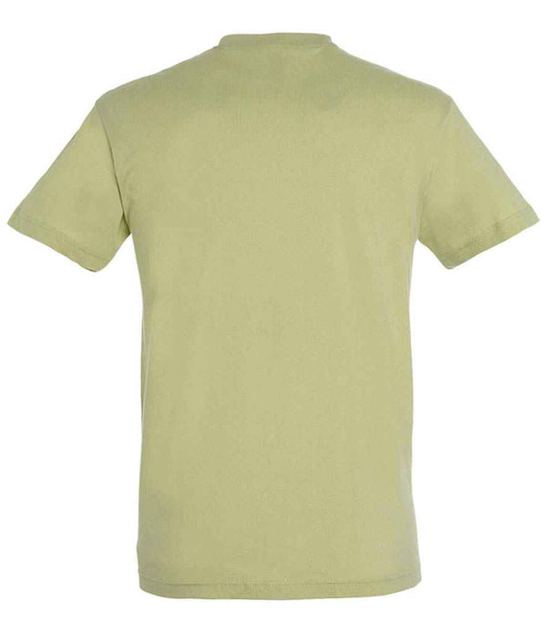 11380 Green Sage Back