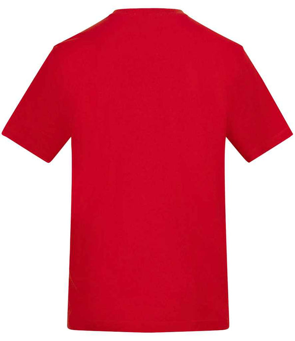 AT001 Fire Red Back