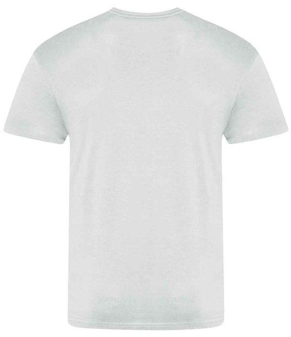 JT100 Moondust Grey Back