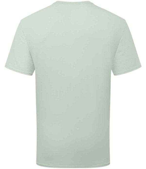 SS640 Sage Back