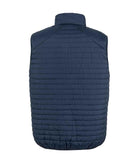 RS239 Navy Back